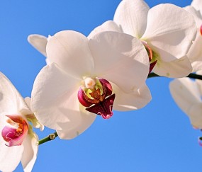 蜀山正规助孕捐卵机构，附正规捐卵机构报名表！